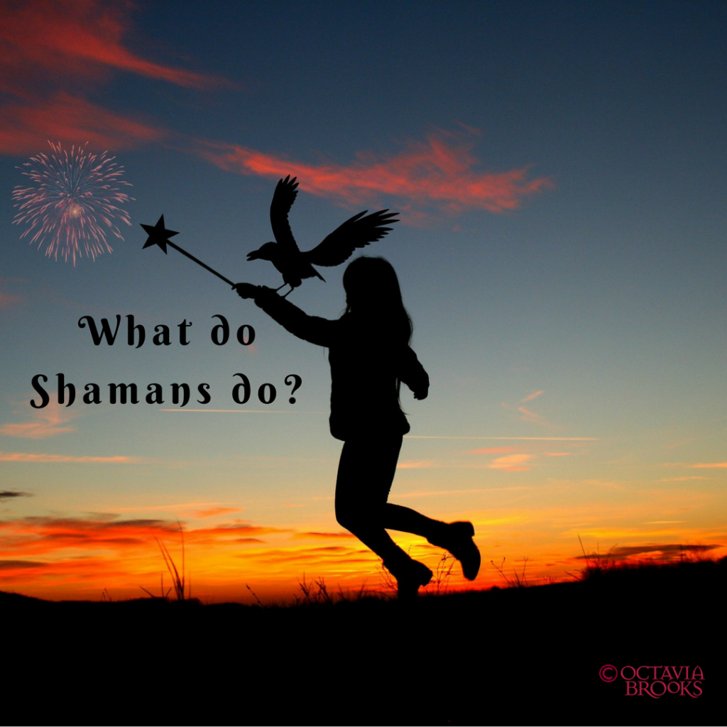 Shaman, Shamanic Healing, What do Shamans Do, Octavia Brooks